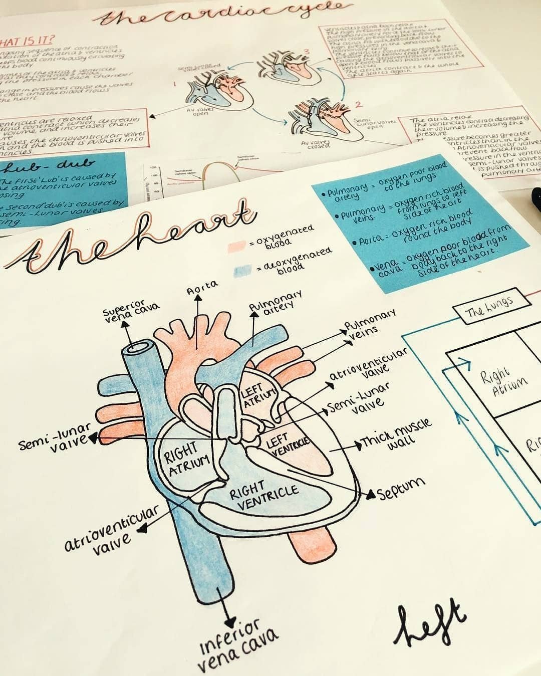 Titulos Bonitos Apuntes Trabajos Cuadernos 1000 Ideas